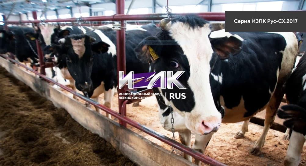 Основные виды коровников, эксплуатируемых животноводами Губкина и региона